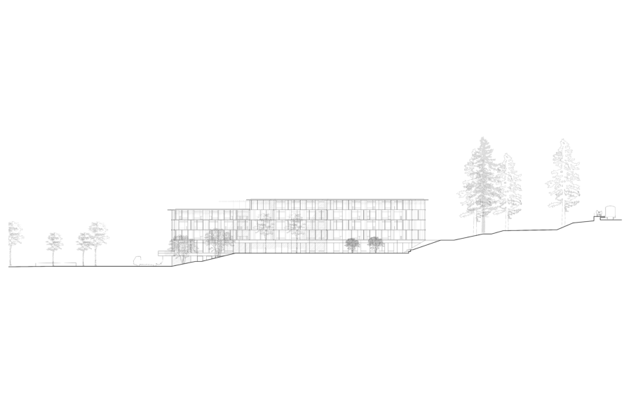 facade-n